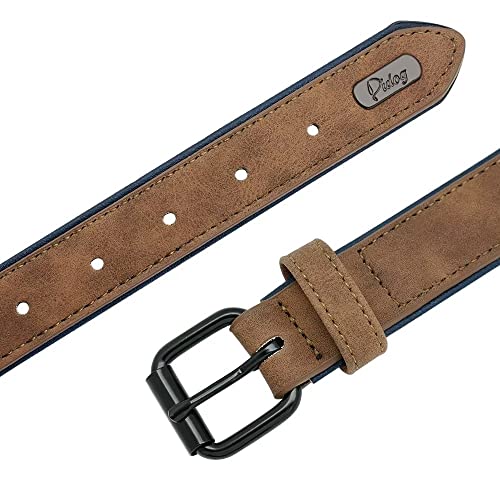 Didog Leather Custom Dog Collar,Engraved Dog Collars With Personalized Nameplate,Padded Custom Collar For Small Medium Large Dogs,Brown Xxl Size #TOP4