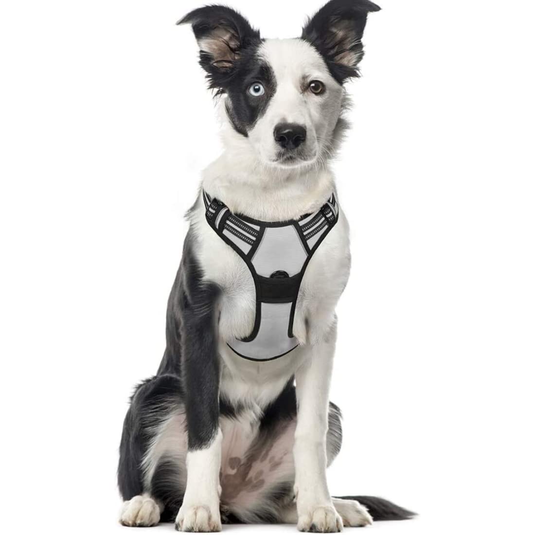 beboji Dog Harness for Dogs with Reflective Tape - Adjustable, Comfortable, Strong Harness for Medium and Large Dogs (L, Grey) (B0BBGPSWYC) Amazon Price History, Amazon Price Tracker
