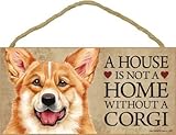 A house is not a home without Corgi - 5