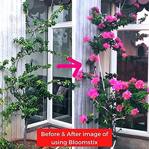 Image of Lazy Gardener Organic Bloomstix Plant Food, lower Booster Fertilizer Sticks for Flowering Plants, Organic Slow-Release Bloom Fertilizer for Home Gardens (500 Sticks)