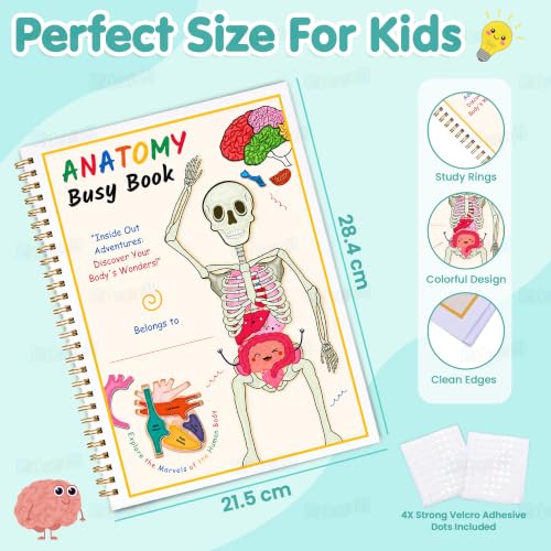 Image of Kidology Human Body Anatomy Busy Book for Kids 4+ Years | 60+ Pages Montessori Body Model Learning Activities | Interactive Educational Toy & Learning Material for Preschool & Kindergarten