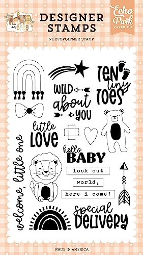 Echo Park Paper Clear Stamps and Coordinating Dies (20-Piece)