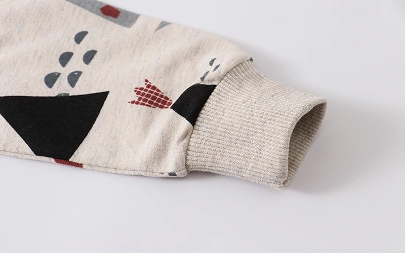 Cotton Hoodie Sweatshirts for Boys 9066same pic / 4T4