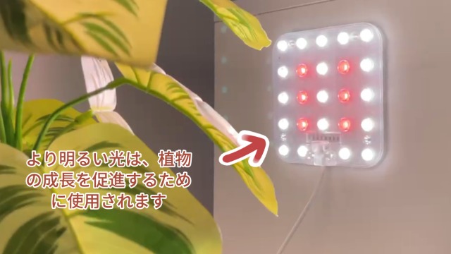 Amazon.co.jp: DOMMIA植物育成ライト、調光可能な植物育成 led、光学