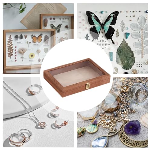 Vitrine pour spécimens pour préserver l'histoire de vos bijoux