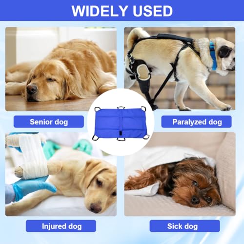 Hundetrage & Tragehilfe für große Hunde bis 60kg, Faltbare Haustiertrage aus Nylon mit 6 Griffen, Anti-Biss-Transportbahre für Notfälle, Reise & Transport für Hunde (120x74cm, Blau)