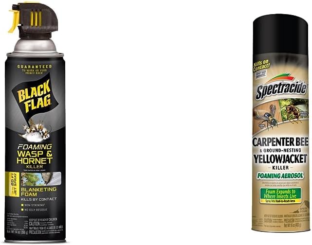 Black Flag Foaming Wasp, & Yellow Jacket Killer