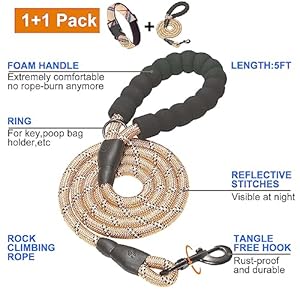 Nylon Dog Collar Soft Neoprene Padded Adjustable Dog Collars for Small Medium Large Dogs m Neck 155185 Beige  Cucciolini Doodles Nylon dog collar soft neoprene padded adjustable dog collars for small medium large dogs m neck 15 5 18 5 beige   cucciolini doodles