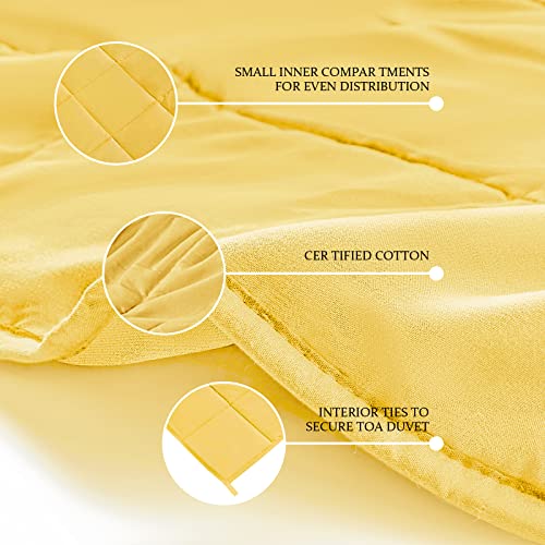 CYMULA Weighted Blanket for Adults (15lbs 48"x72" Twin Size) - Cooling Breathable Heavy Blankets for Summer Winter - Ultra Microfiber Soft Comfort Throw with Glass Beads - Gifts for Men/Women