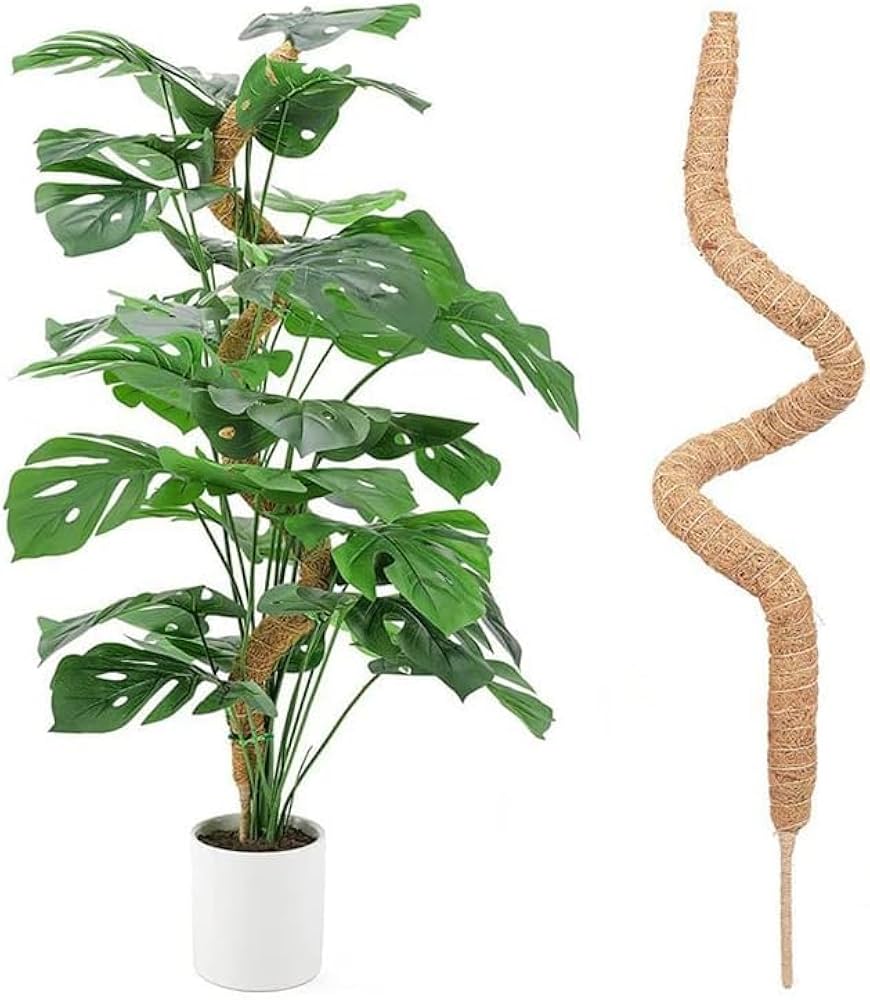 Amazon | 園芸支柱 観葉植物 支柱 モンステラ支柱 ココナッツ