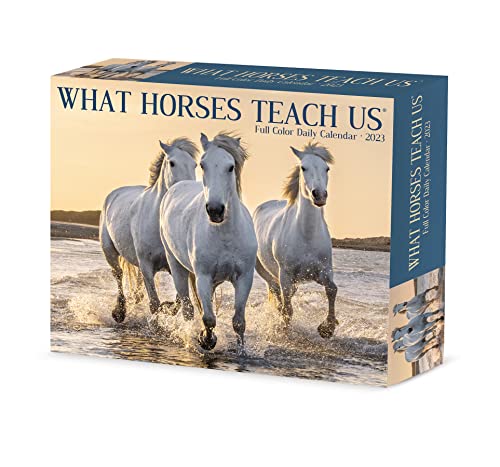 Willow Creek Pr What Horses Teach Us 2023 Calendar