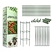 Yiida Patyczki do roślin domowych - stojaki do podpierające rośliny, uchwyt do pnącznika pomidorów, kwadratowe klatki na pomidory do ogrodu, warzywa, ogórków, bakłażan
