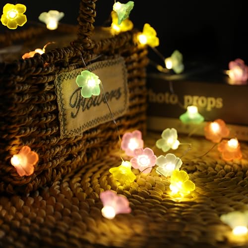 NOVIIML lossom Flower String Lights Battery Operated for Bedroom 10ft