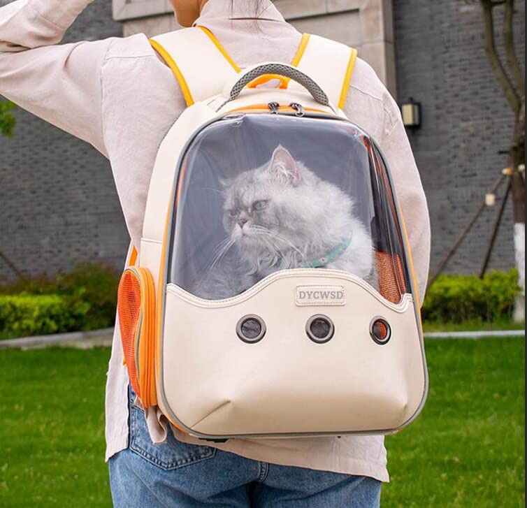Sac de transport pour chat approuvé compagnie aérienne