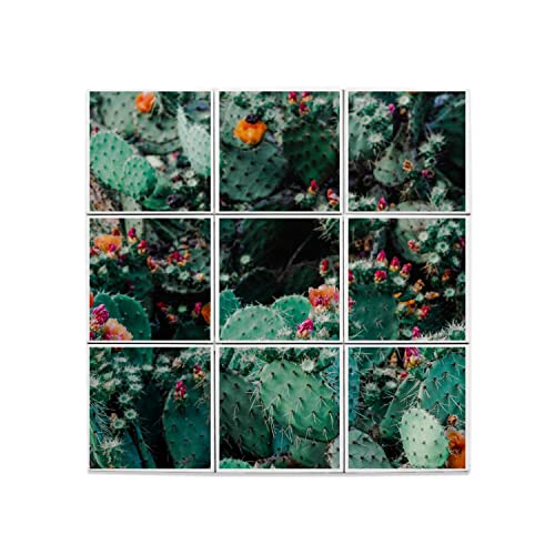 Carreaux céramique Opuntia en fleur 45,6x45,6cm pour fresque murale
