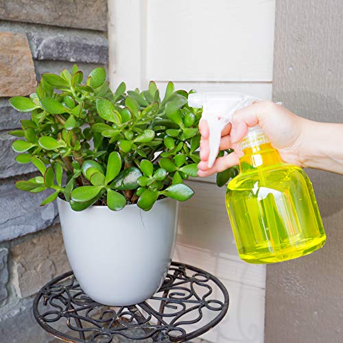 Botellas redondas de plástico vacío transparentes y resistentes de 16 oz Youngever 4