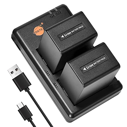 Evita apagones con la batería NP-FV100 y cargador para Sony DCR-SR21 y SR88