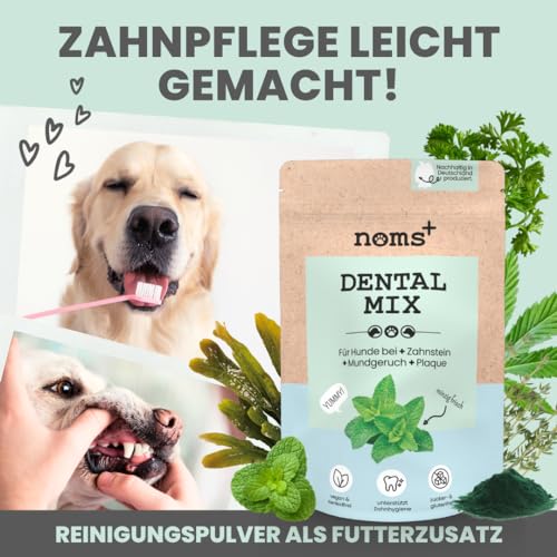 noms+ Dentalmix - Zahnpflege Pulver für Hunde – Natürliches Mittel gegen Zahnstein, Plaque & Mundgeruch Hund – Effektive Zahnreinigung gegen Zahnbelag bei Hunden