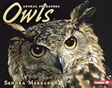 Owls (Animal Predators)