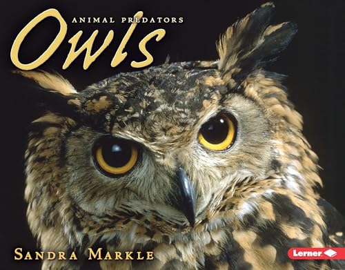 Owls (Animal Predators)
