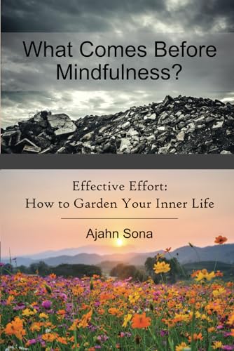 What Comes Before Mindfulness?: Right Effort and the Buddhist Path to Enlightenment