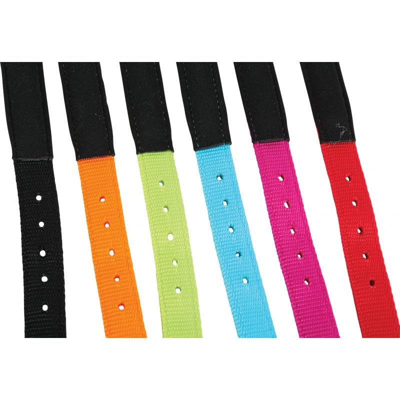 Zolux Nylon Collar Conf 40 cm/20 mm Fus, Multicolored - Image 4