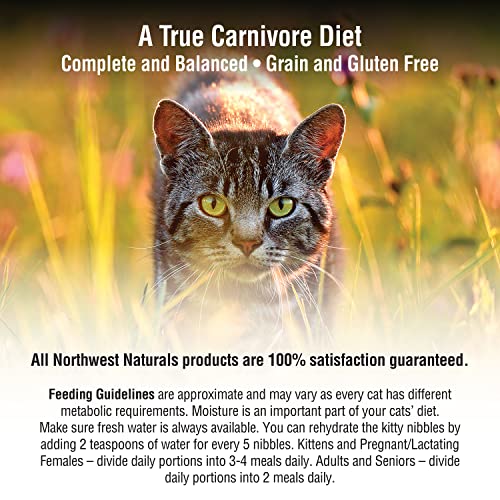Northwest Naturals Freeze Dried Diet for Cats – Chicken Cat Food – Grain-Free, Gluten-Free Pet Food, Cat Training Treats… - Image 5