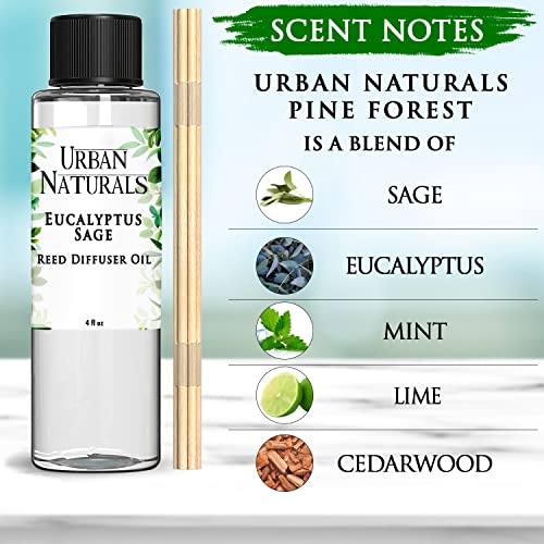 Urban Naturals Eucalyptus & Sage Oil Reed Diffuser Refill | Eucalyptus, Sage, Mint, Lime and Cedarwood| Includes a Free Set of Reed Sticks! 4 oz - Image 3