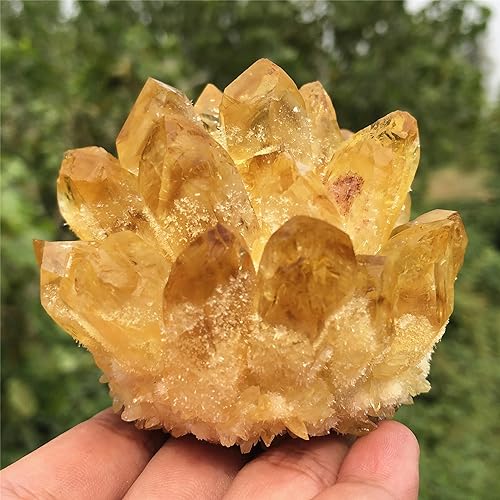 Citrine Quartz Cluster
