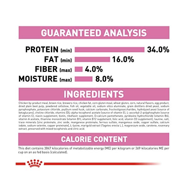 ROYAL CANIN Feline Health Nutrition Kitten Dry cat Food, 15-Pound by Royal Canin – Bild 7