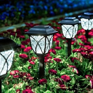 GIGALUMI Solar Lights Outdoor Waterproof, 8 Pack LED Solar Garden Lights, Solar Lights for Outside, Garden Decor for Yard, Patio, Landscape, Planter, Walkway (Cold White) GIGALUMI Solar Lights Outdoor Waterproof 8 Pack LED Solar Garden Lights Solar Lights for Outside Garden Decor for Yard Patio Landscape Planter Walkway Cold White