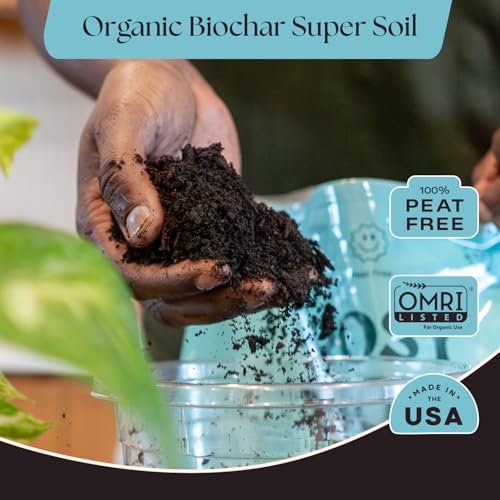 Image of Rosy Soil Houseplant Potting Soil, Organic Indoor Potting Mix, 8 Quarts (Pack of 2)