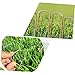 Nails for Wood,50pcs U Shaped Garden Pile Nails Lawn Fixing Stakes for Weed Fabric Turf Garden Edges Durable Ground Anchors with Design for Enhanced Soil Tension