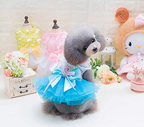 Clopon Pet Dog Dress Cute Girl Dogs Lace Skirt Puppy Princess Jumpsuit Party Floral Dresses Ribbon Bow Doggie Costumes #TOP1