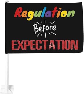 Car Flag Regulation Before Expectation Double Sided Window Clip 12x18 Inch Flag