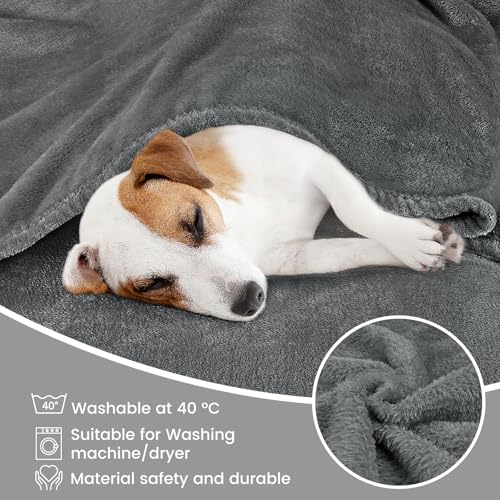 berssen 200x230cm Kuscheldecke Flauschig, Weiche Antistatik Fleecedecke, Dicke Sofadecke, Erweitert Kuscheldecke Flauschig, Maschinenwaschbar, ohne Geruch, Dunkelgrau