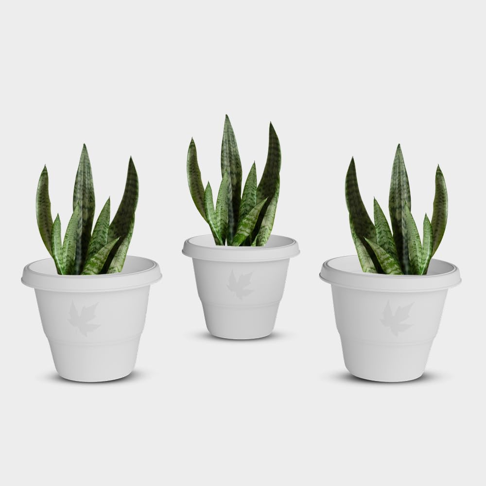 YUCCABE ITALIA SHERA RD 14 INCH Plastic Flower Pots Set of 3 Pcs Round Shape Gamle Planters for Outdoor and Indoor Garden Plastic Pots for Home and Balcony (White)-picture-21
