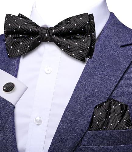 Image of Dubulle Mens Paisley Striped Bowtie Set Pre-tied Bowtie for Men and Pocket Square Set Wedding Business