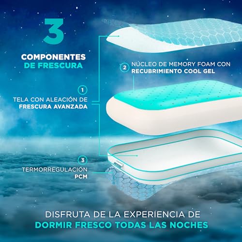 Catálogo de Almohada Sognare Firme disponible en línea para comprar. 27 Imagen adicional