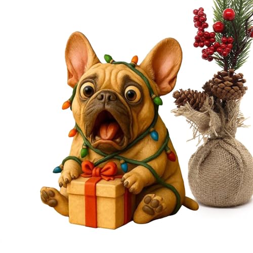 NX}X̒u - Ȃ킢̉Ƃ̑AN}̃RNVpNX}Xe[ufR[V |rO[AQAe[uAItBXA}go[AIAaAցA|[`pB