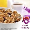 Kellogg's Raisin Bran Breakfast Cereal, Family Breakfast, Fiber Cereal, Original, 16.6oz Box (1 Box)
