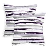 CaliTime Throw Pillow Cases...