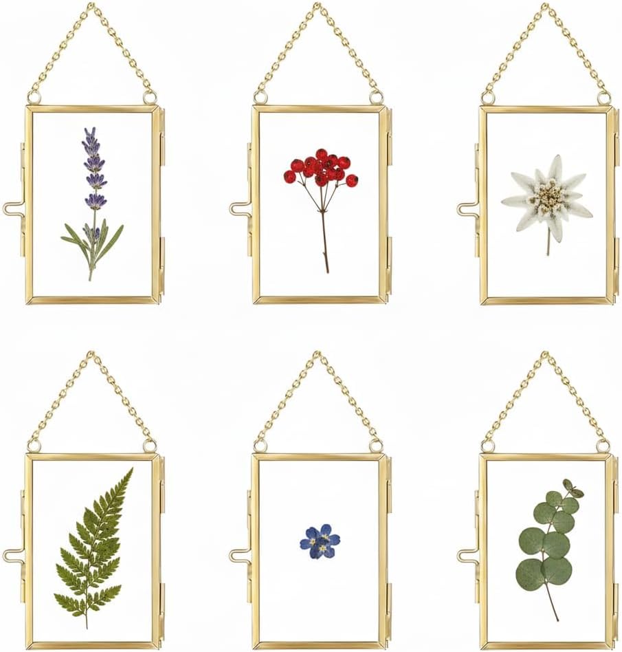 Chic Double Sided Glass Floating Frame for Pressed Flowers – Elegant Botanical Art Display, Wall Mounted & Tabletop Stand, Perfect Home Decor for Living Room, Bedroom, Office