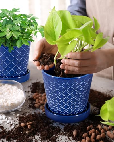 Image of EFISPSS Ceramic Plant Pots, 5Inch Pots for Indoor Plants, Planters with Drainage Holes and Ceramic Tray,Plant Lover Gift, Desktop Office Windowsill Decoration Gift Set of 4 - Blue