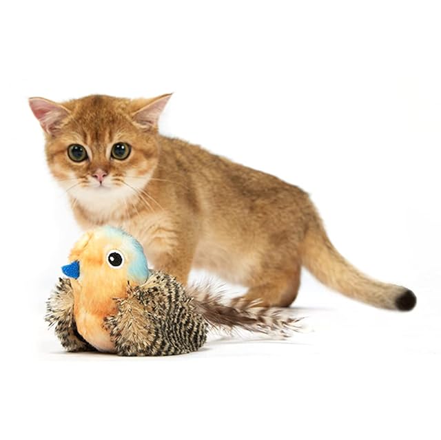 Foto 4 de 5 de FOFOS Pájaro chirriante con Bolas de Hierba gatera. Juguete Interactivo para Gatos (Pájaro)