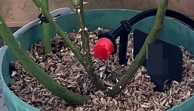 お客様イメージ