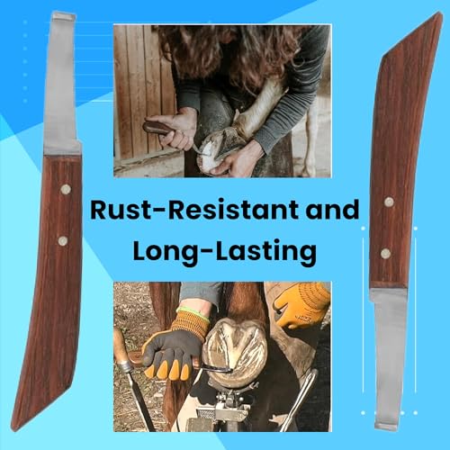 Image of Hoof Knife Single Sided Edge Wide Straight Blade - Stainless Steel Straight Blade Farrier Tool with Wooden Handle, Multipurpose Hoof Trimming Knife for Livestock, 3-Inch Blade, 8.5-Inch Overall