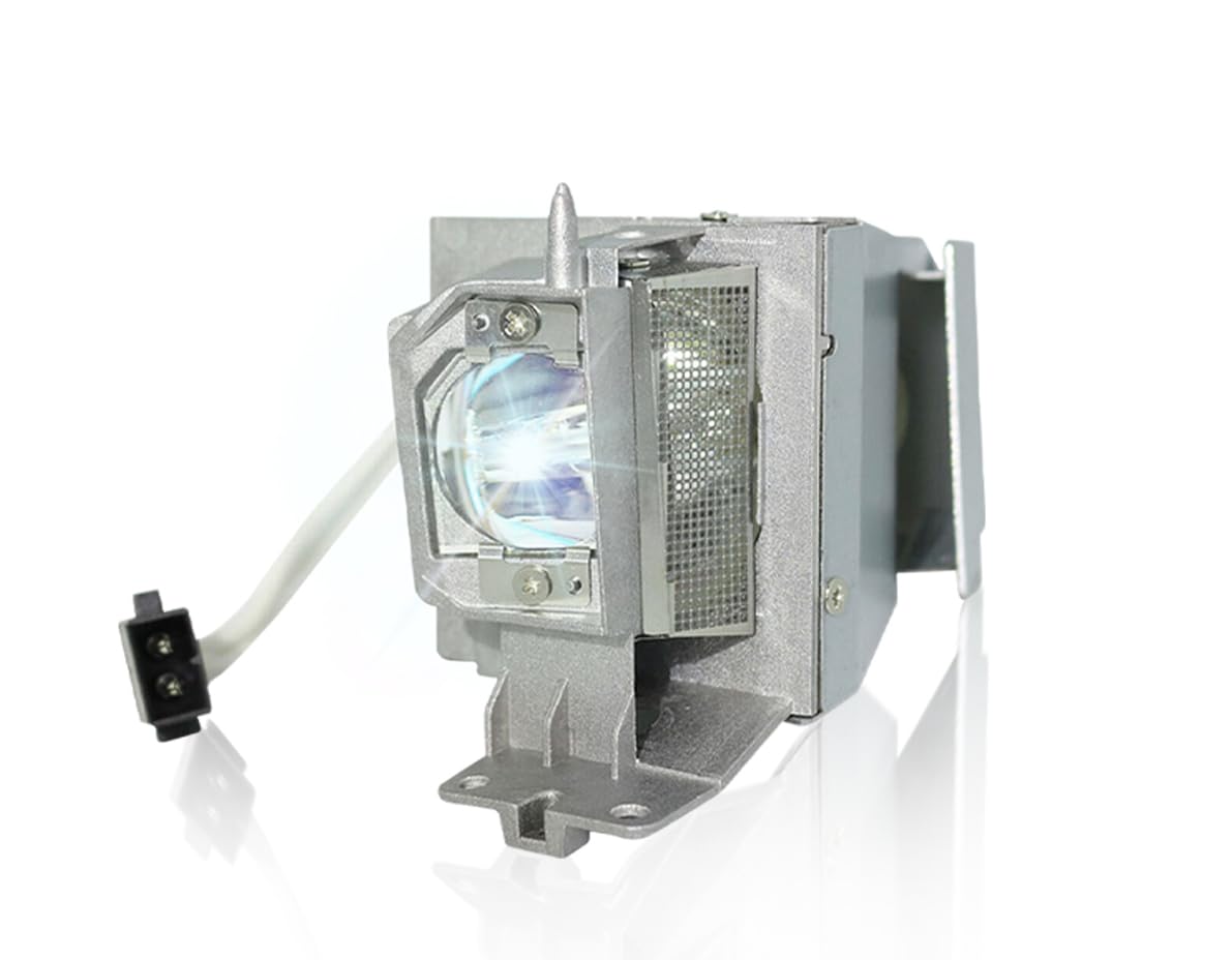Replacement Projector Lamp Bulb BL-FP195B/MC.JN811.001/SP-LAMP-091/SP-LAMP-097/SP.78H01GC01/BL-FP195A/SP.71P01GC01 Compatible with OPTOMA/ACER/INFOCUS GT1080DARBEE, DWX1521, H6517ABD, IN220