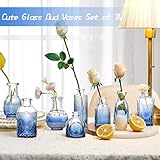 Zoom IMG-1 koiueyw set di 24 piccoli Zoom IMG-1 koiueyw set di 24 piccoli