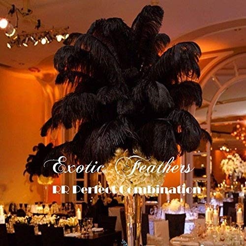 Special Sale 50 Pcs. BLACK OSTRICH Feathers Wholesale Bulk 13/16" long DELUXE FEATHERS